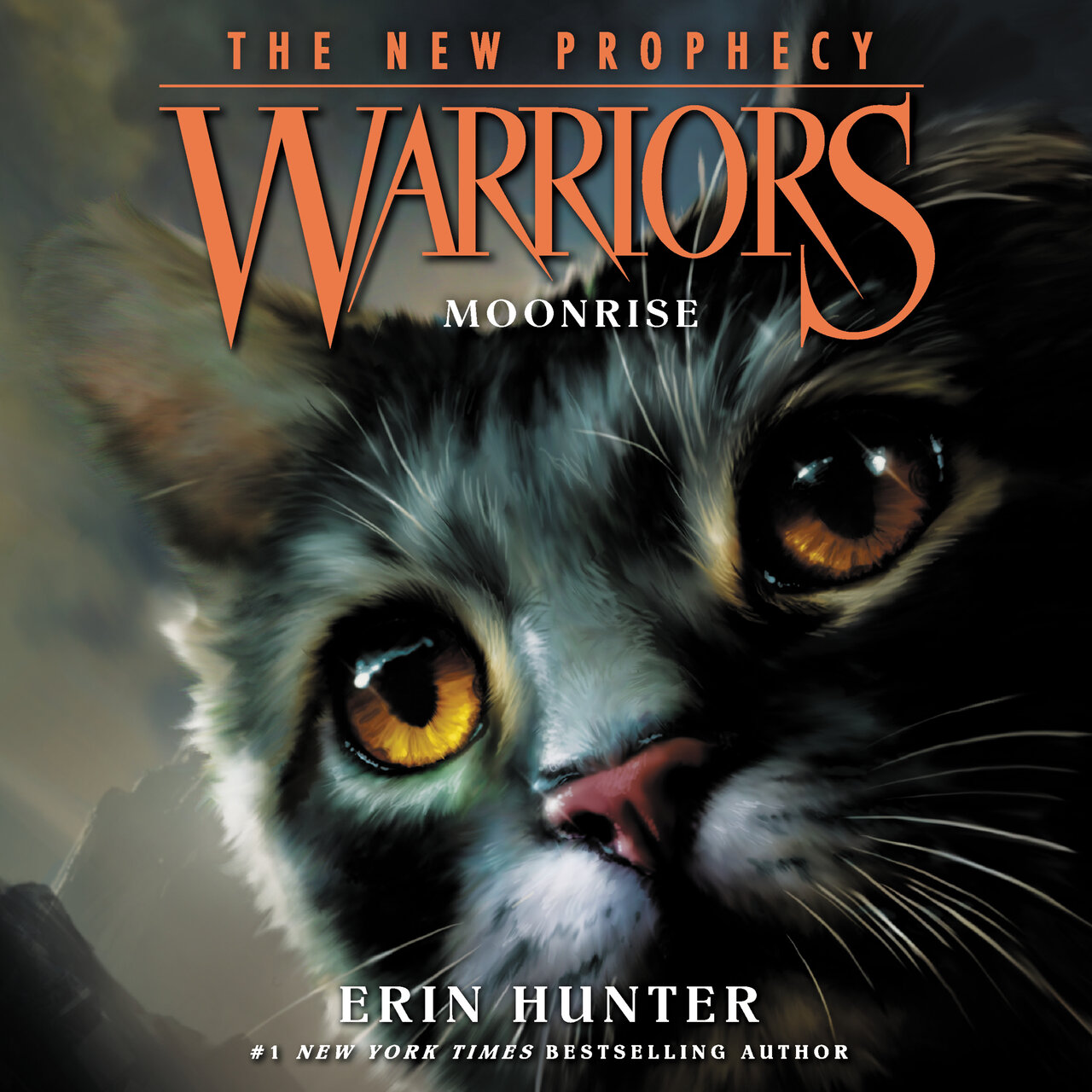 Audiobook cover for Moonrise