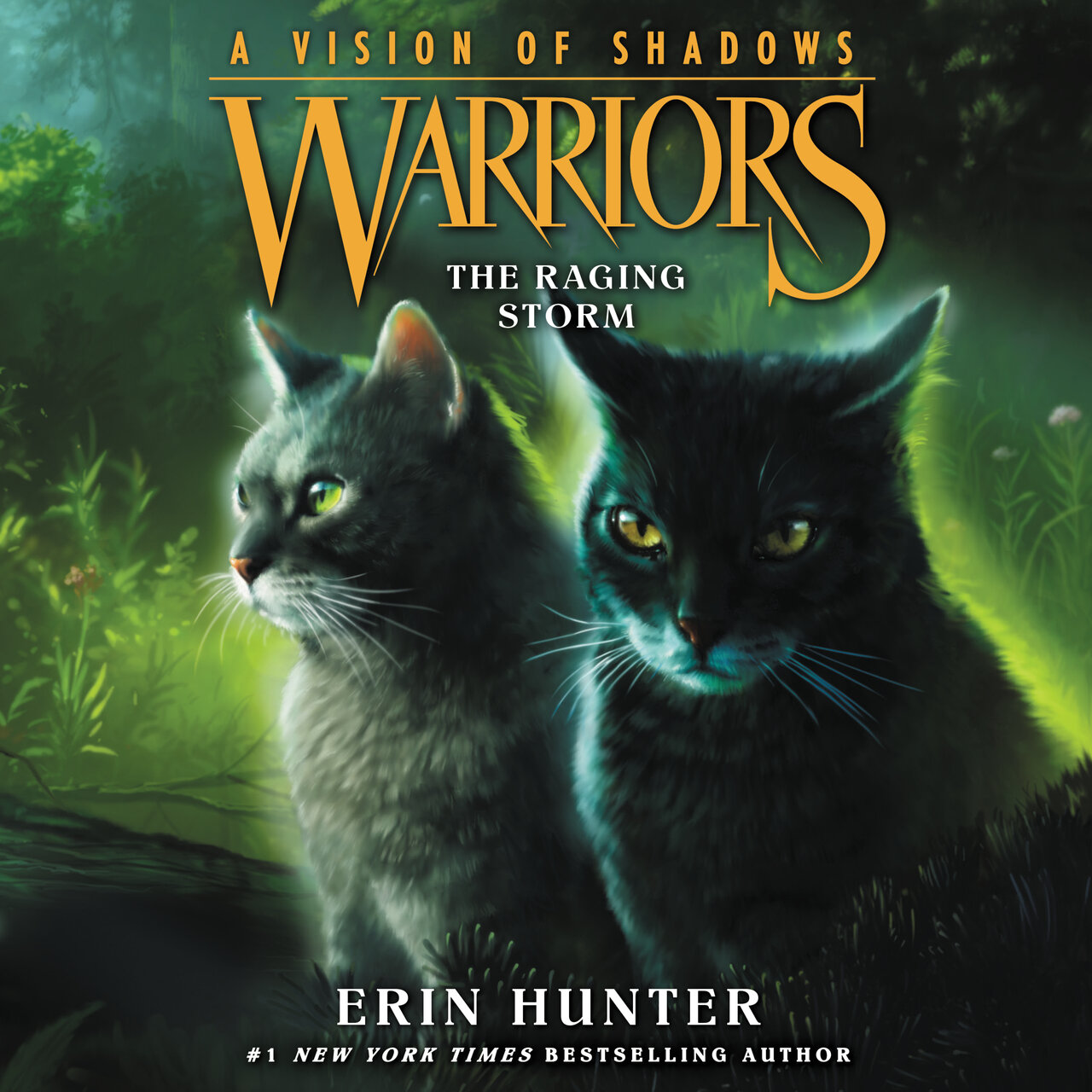 Audiobook cover for The Raging Storm