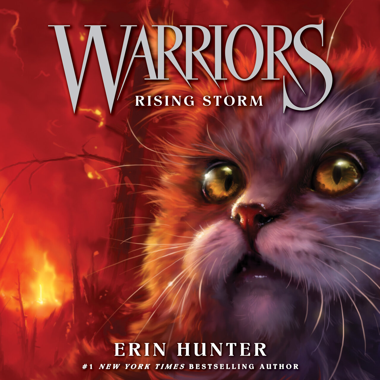 Audiobook cover for Rising Storm