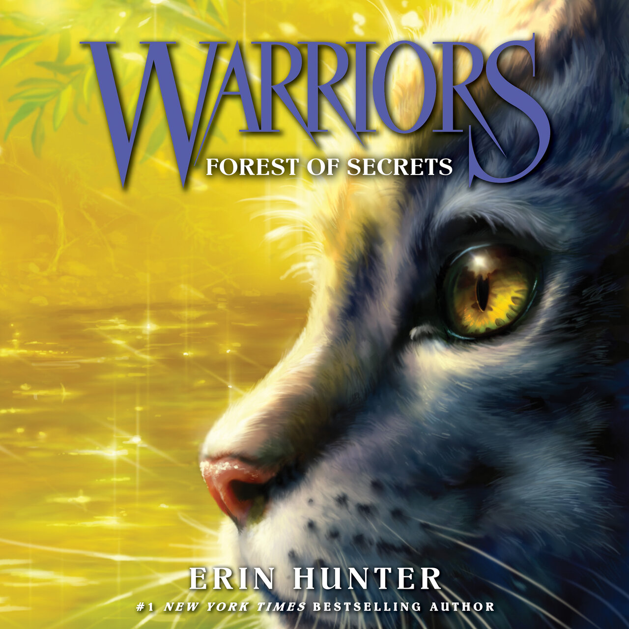 Audiobook cover for Forest of Secrets