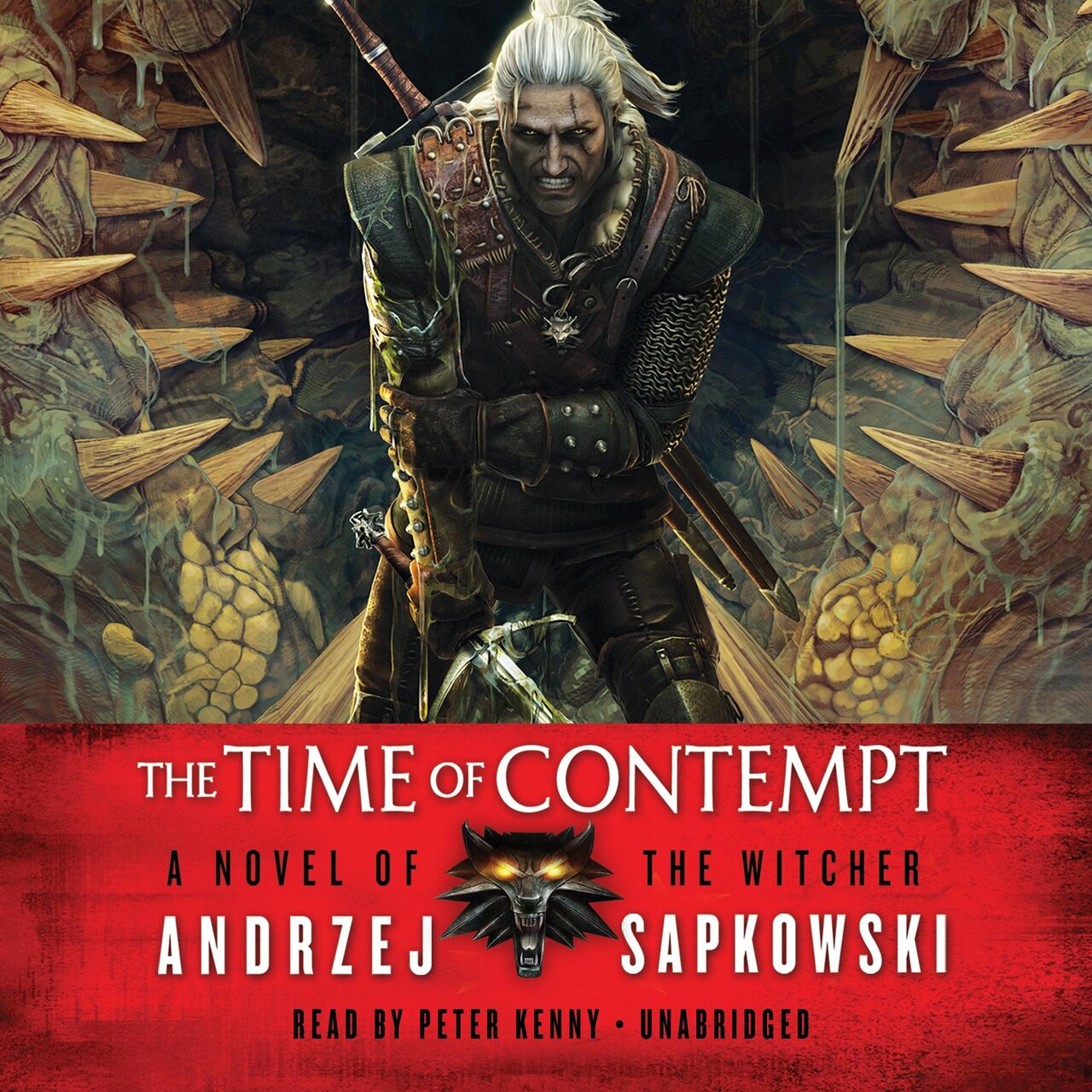 Audiobook cover for Witcher Saga,8 Books Collection Set,the Last Wish
