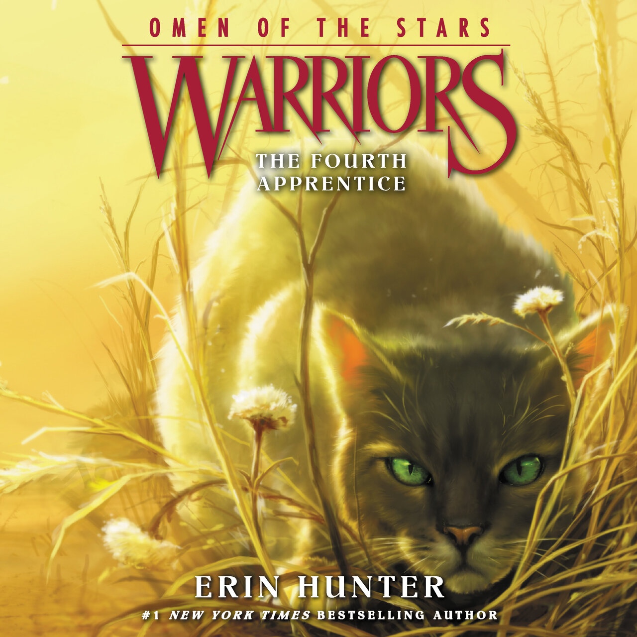 Audiobook cover for The Fourth Apprentice
