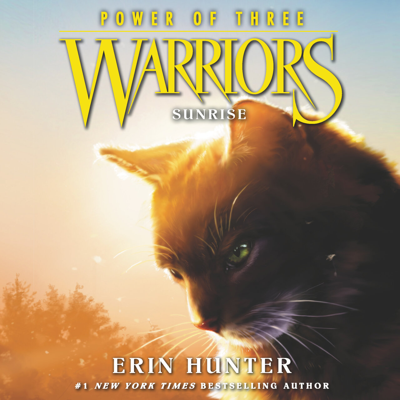 Audiobook cover for Sunrise