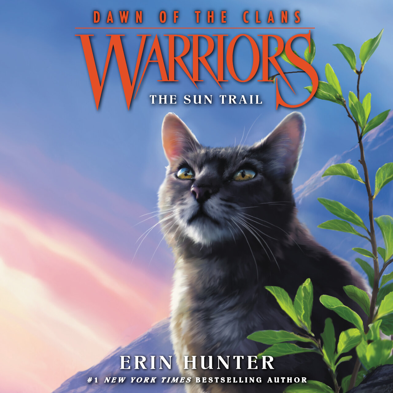 Audiobook cover for The Sun Trail
