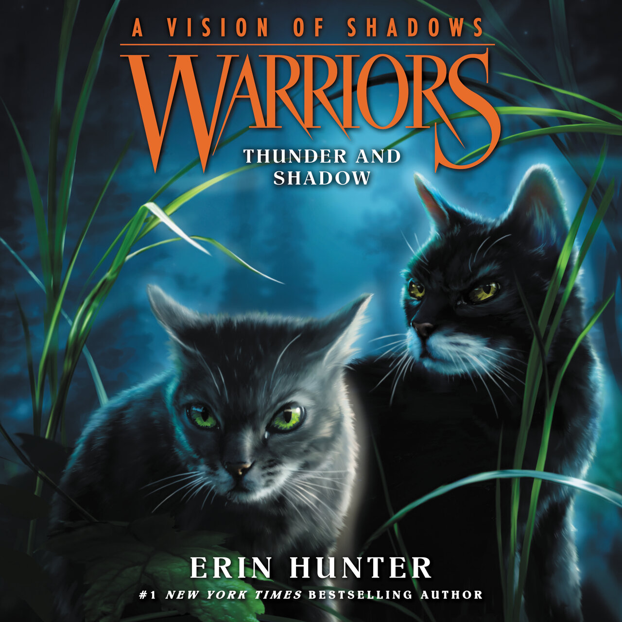 Audiobook cover for Thunder and Shadow