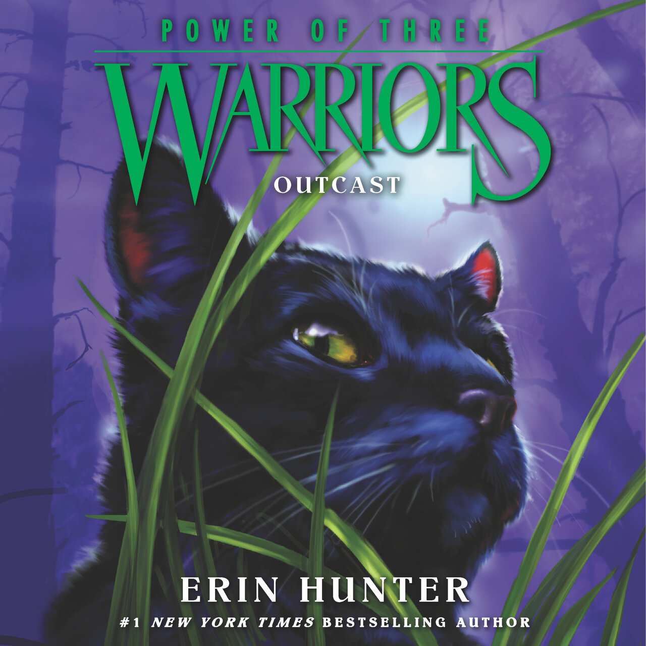 Audiobook cover for Outcast