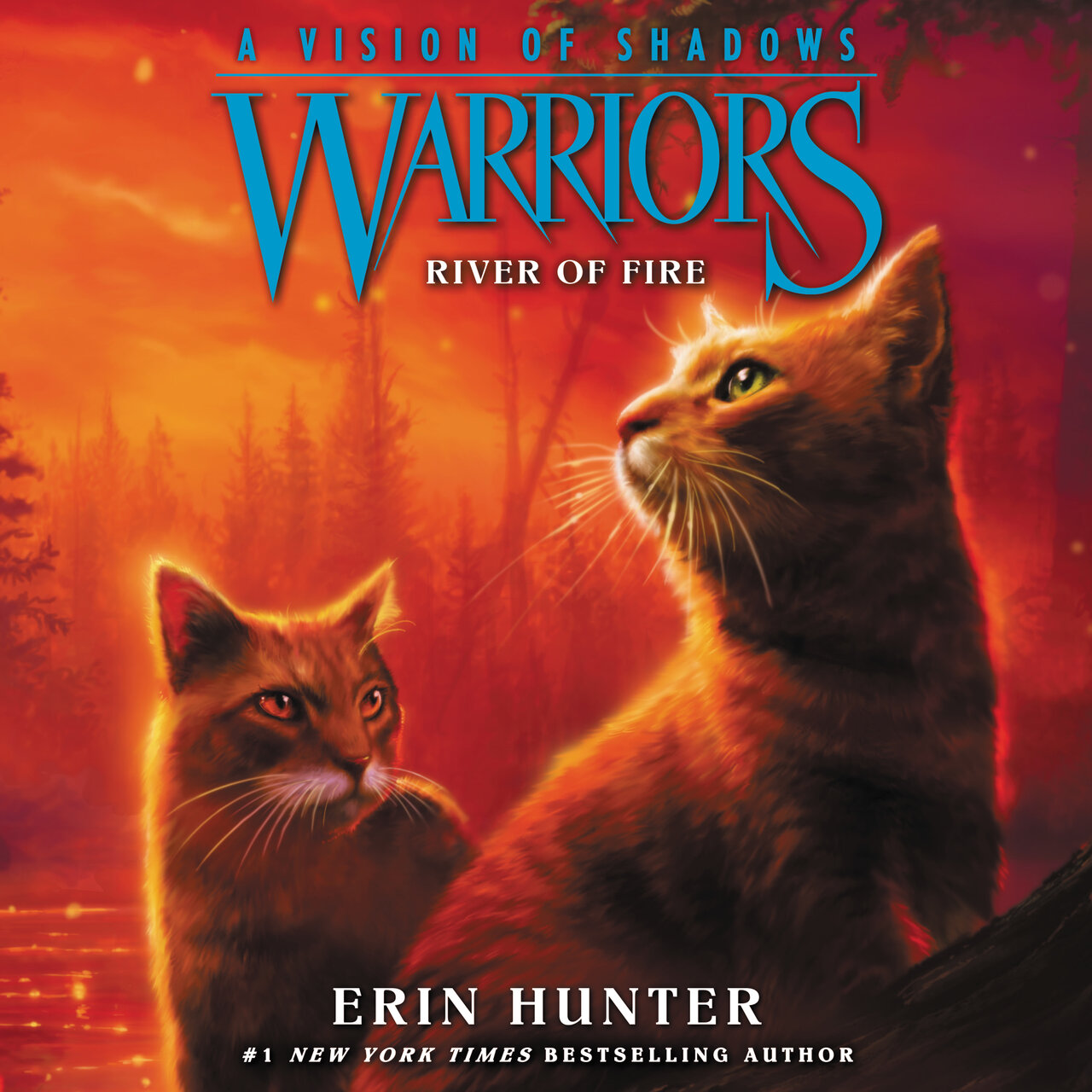 Audiobook cover for River of Fire