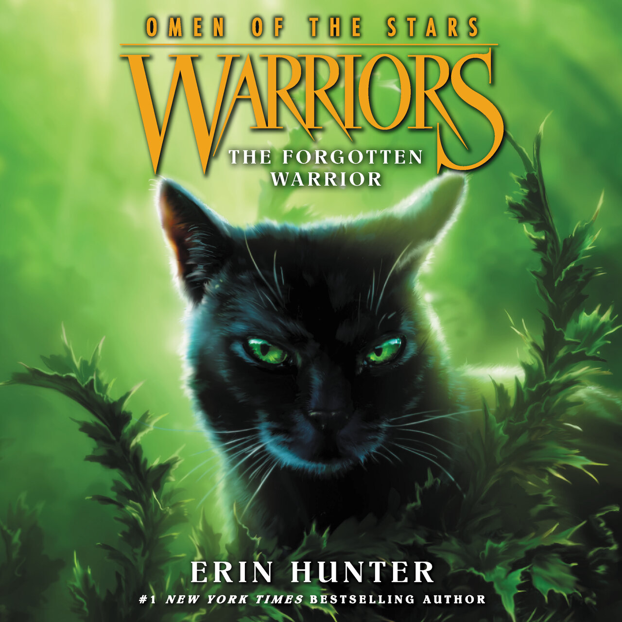Audiobook cover for The Forgotten Warrior