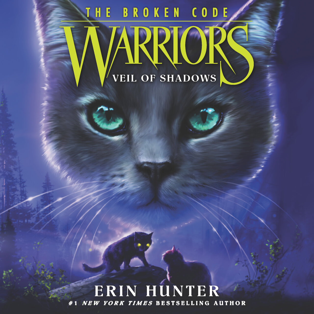 Audiobook cover for Veil of Shadows