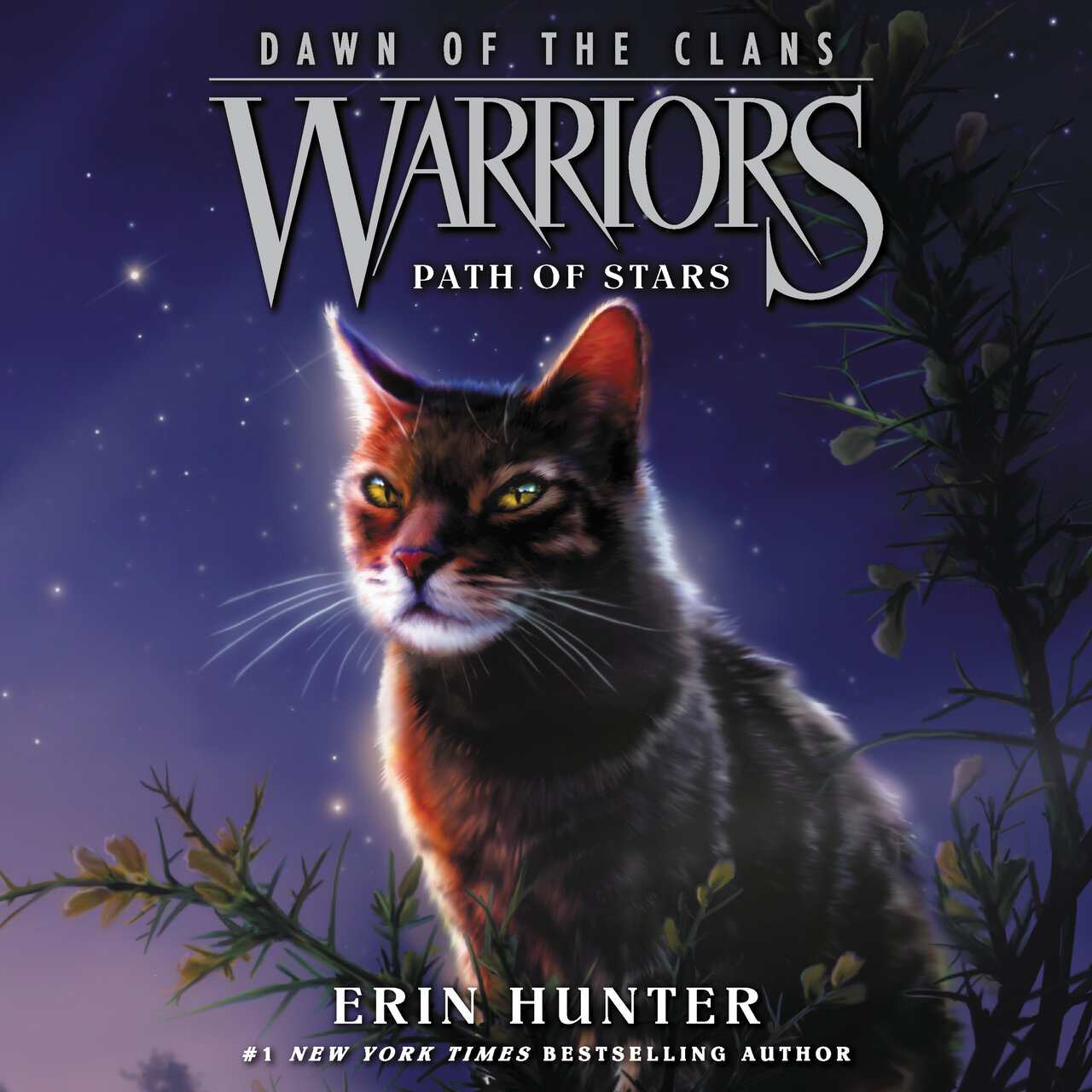 Audiobook cover for Path of Stars