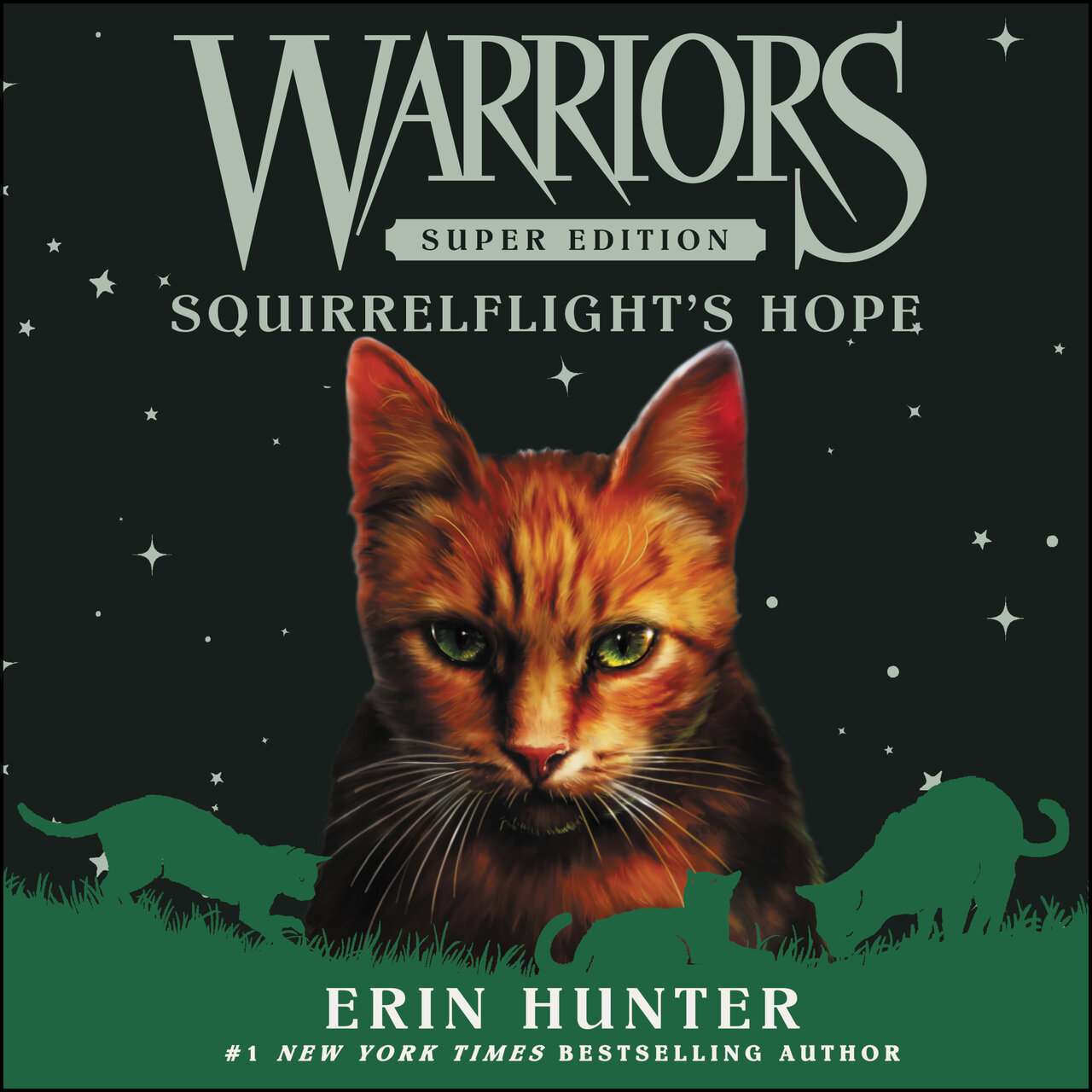 Audiobook cover for Squirrelflight's Hope