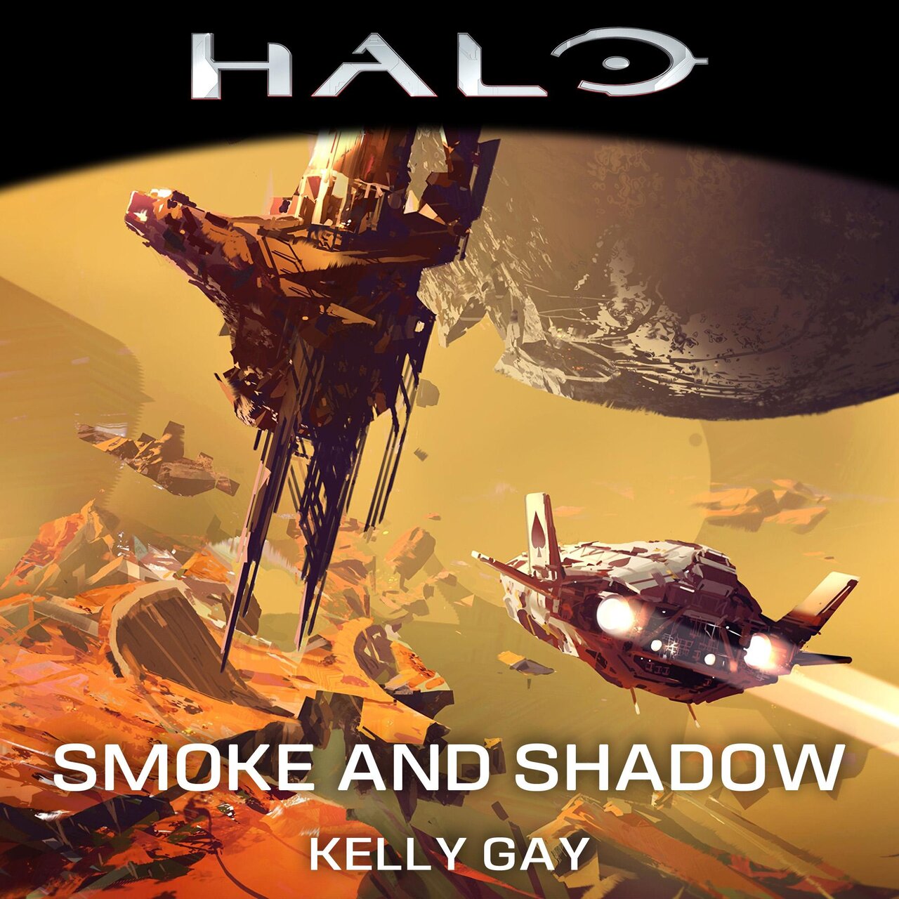 Audiobook cover for Halo