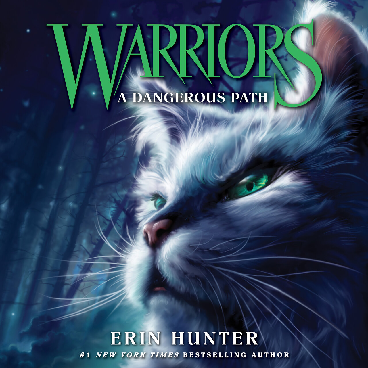 Audiobook cover for A Dangerous Path