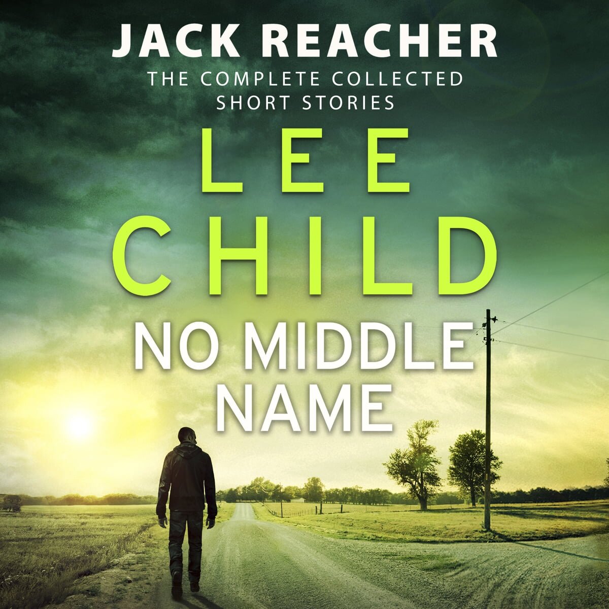 Audiobook cover for No middle name