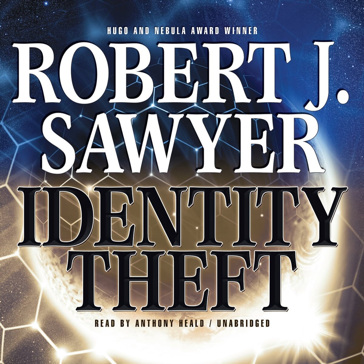 Audiobook cover for Identity theft and other stories