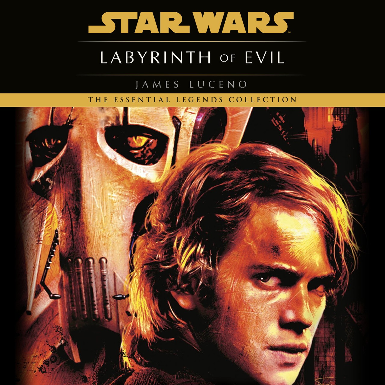 Audiobook cover for Star Wars - Labyrinth of Evil