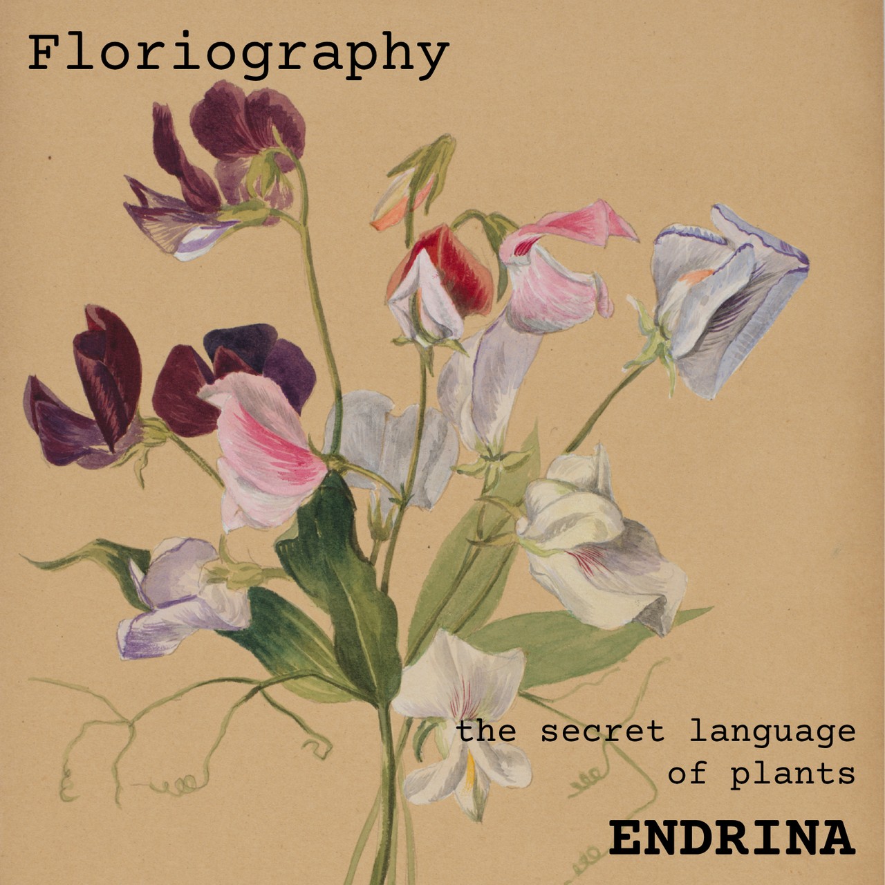 Audiobook cover for Secret Language of Plants