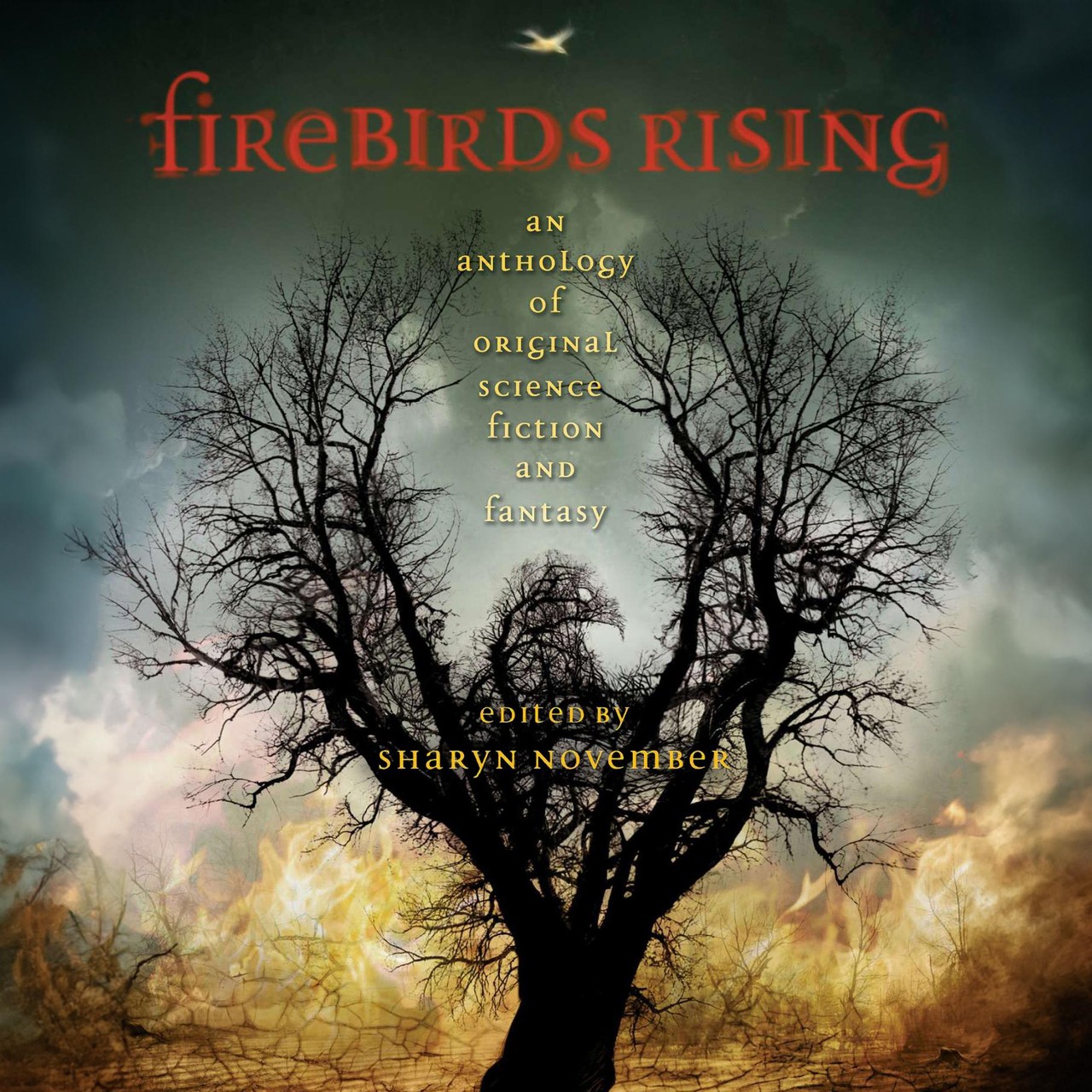 Audiobook cover for Firebirds rising