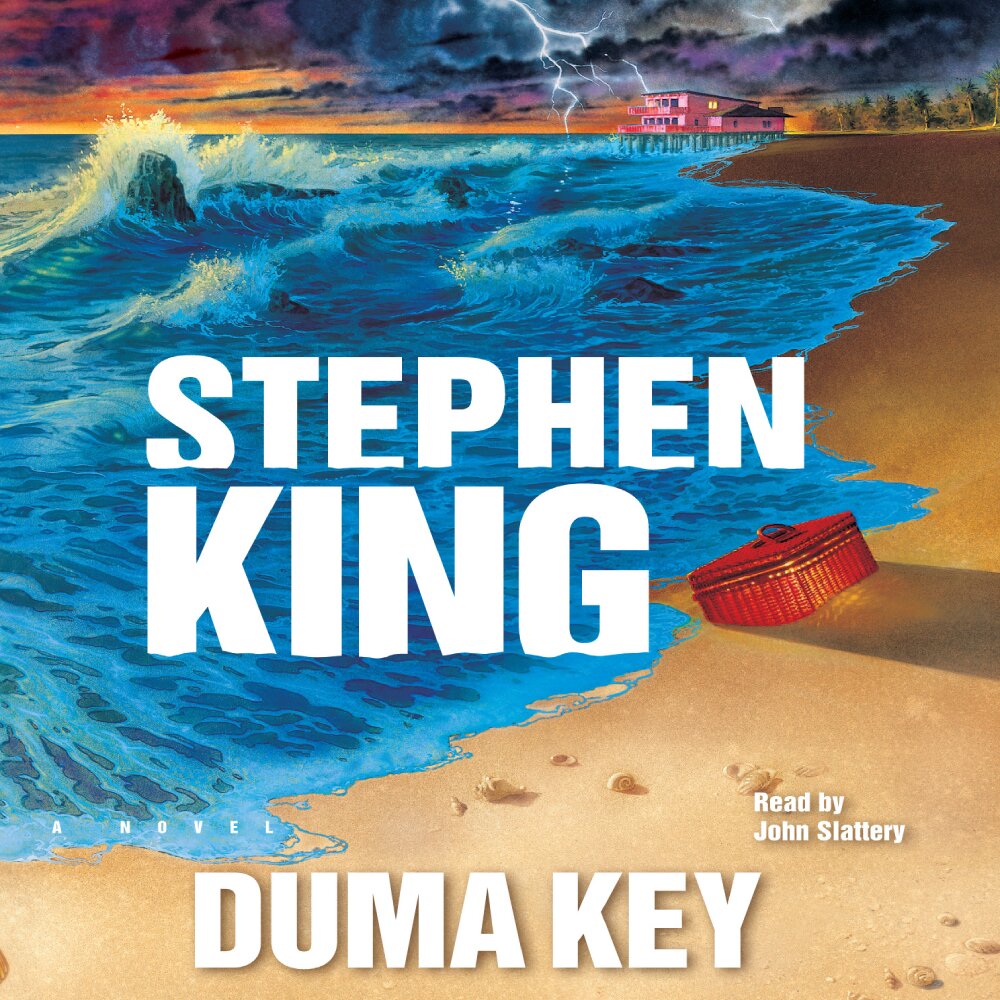 Audiobook cover for Duma Key