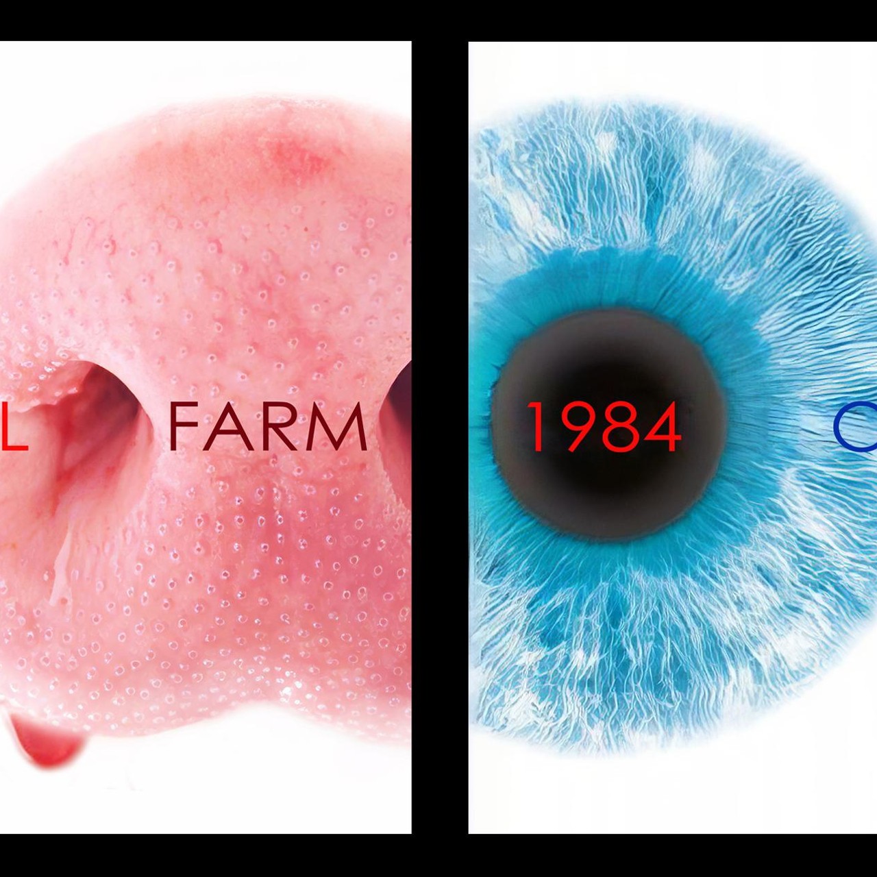 Audiobook cover for Animal Farm / Nineteen Eighty-Four