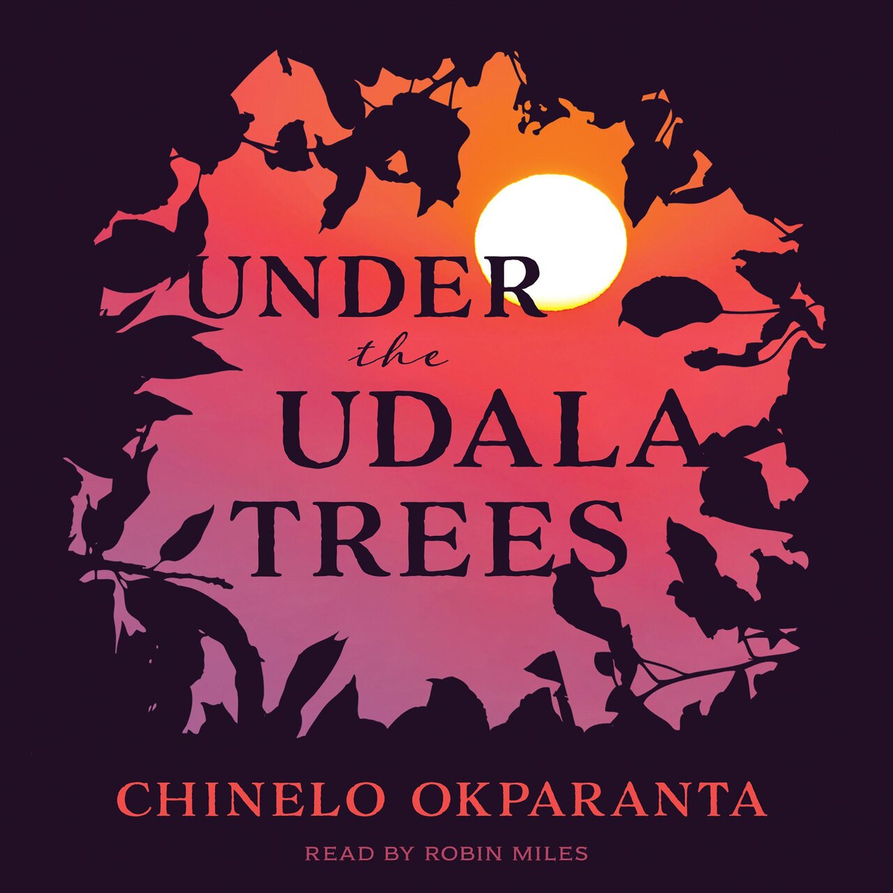 Audiobook cover for Under the Udala trees