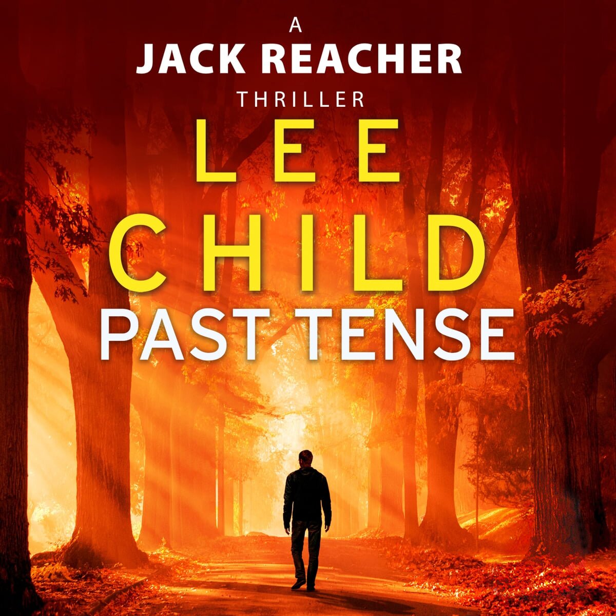 Audiobook cover for Past tense