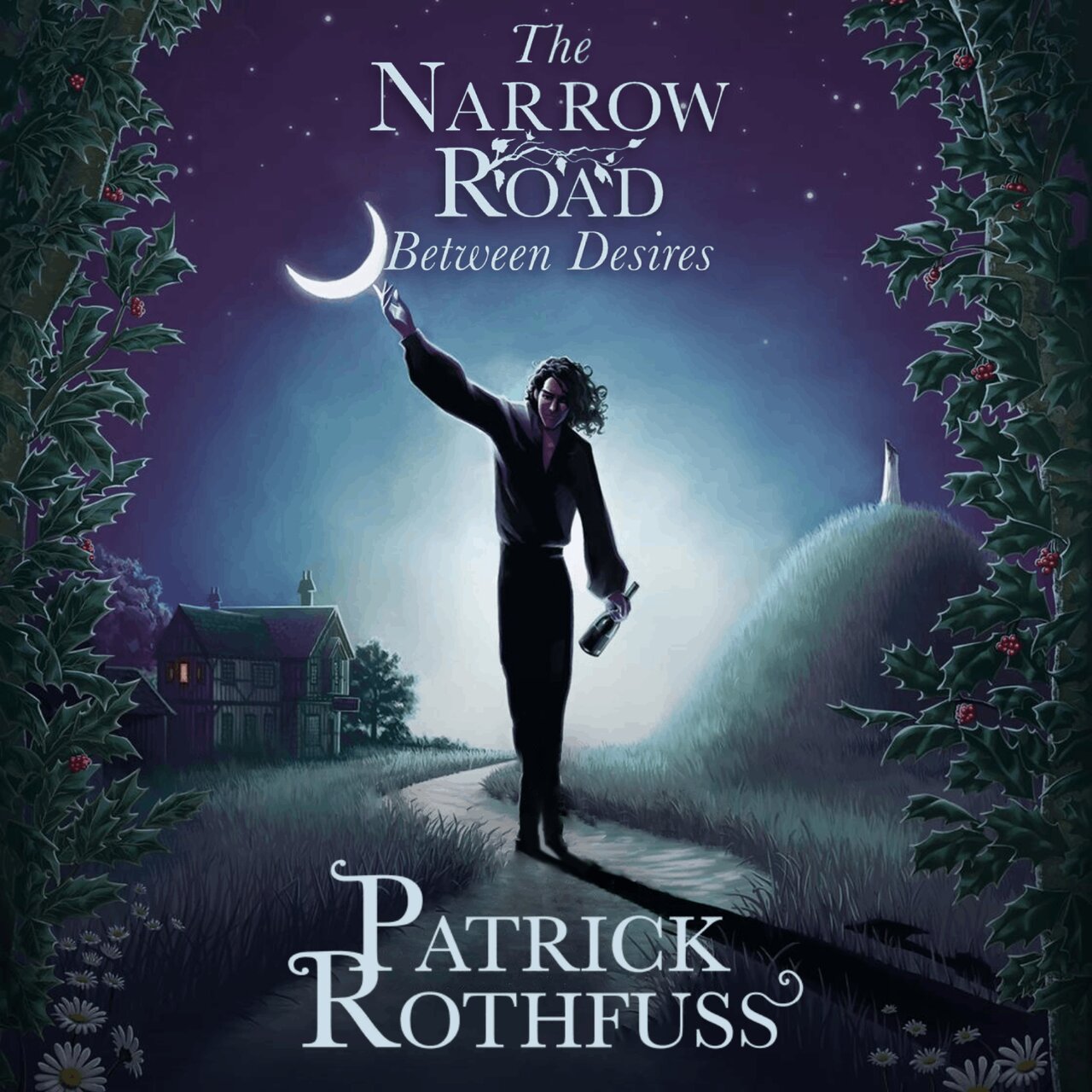 Audiobook cover for Narrow Road Between Desires