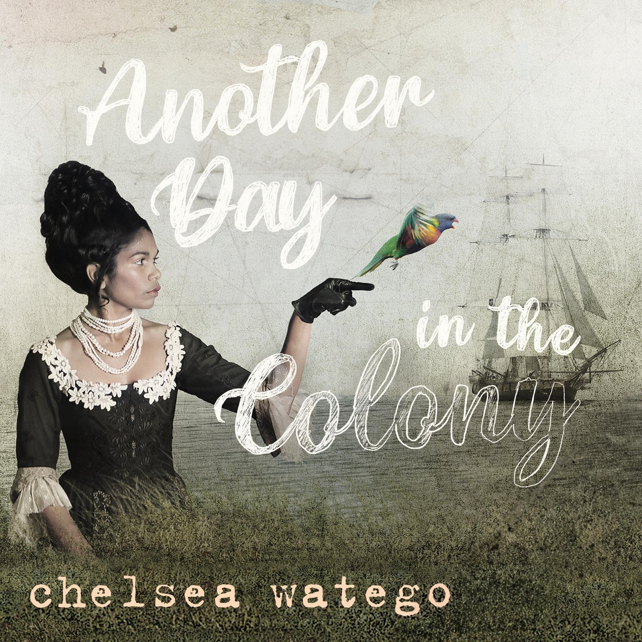 Audiobook cover for Another Day in the Colony