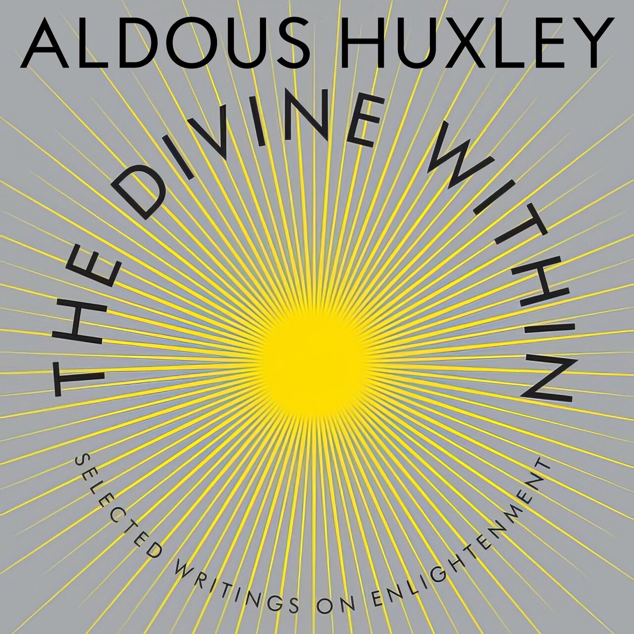 Audiobook cover for The Divine Within