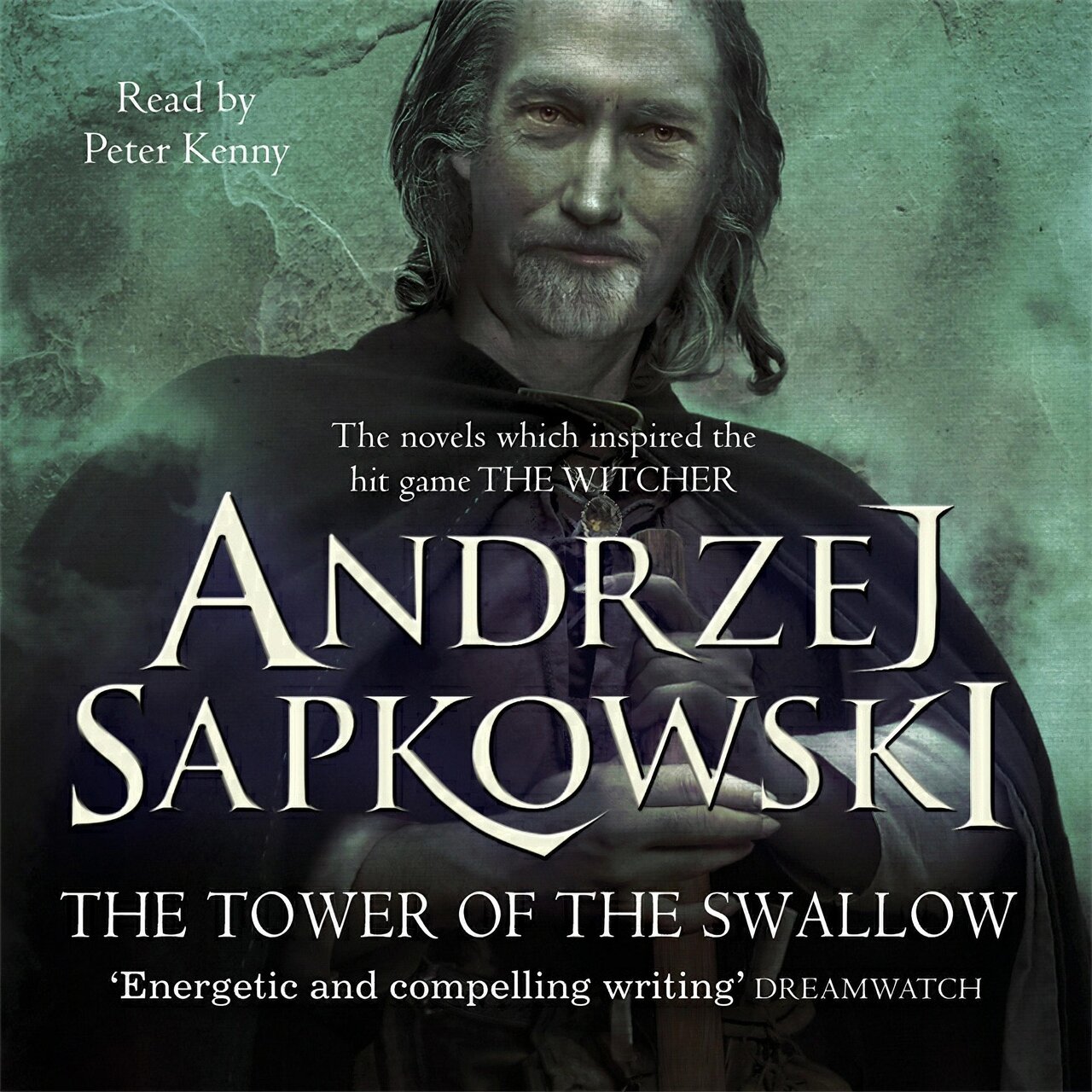 Audiobook cover for Wieża jaskółki