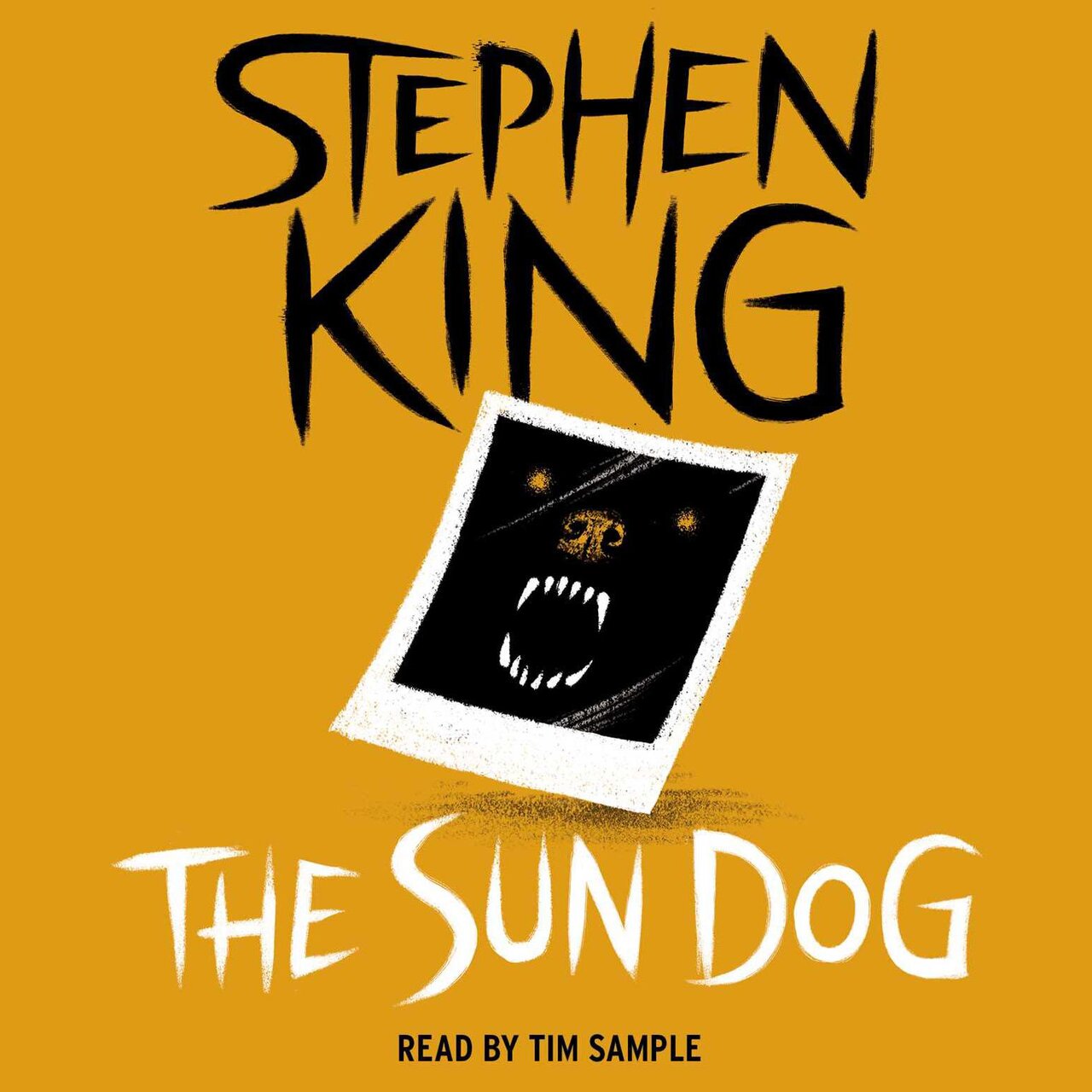 Audiobook cover for The Sun-Dog Trail and other stories