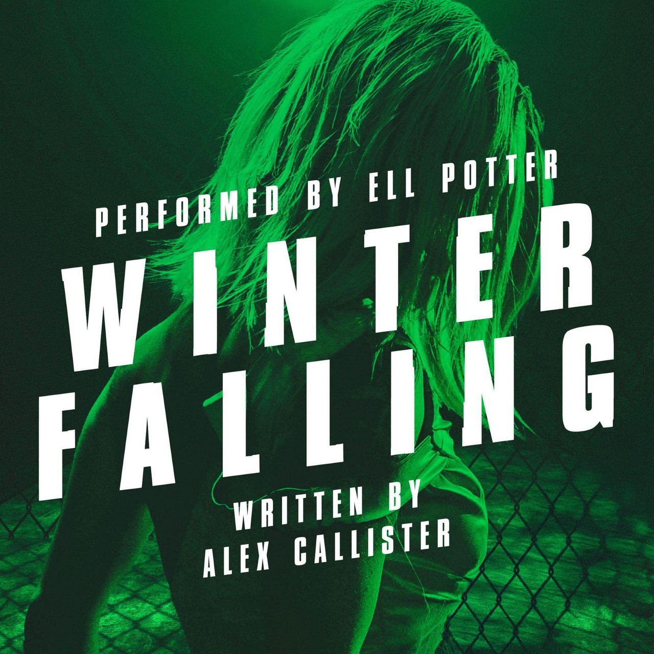 Audiobook cover for Falling into a Winter Sky