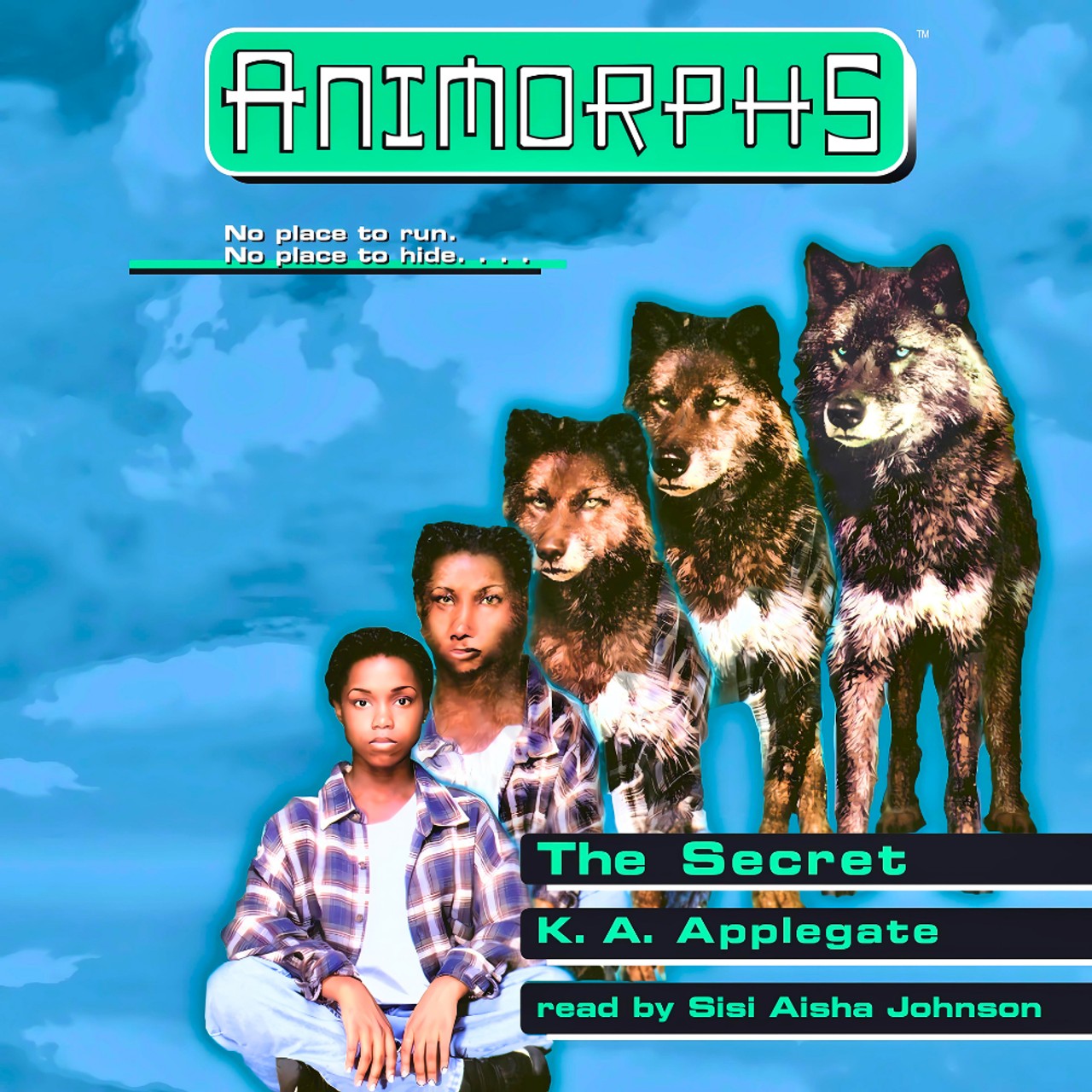 Audiobook cover for The Secret