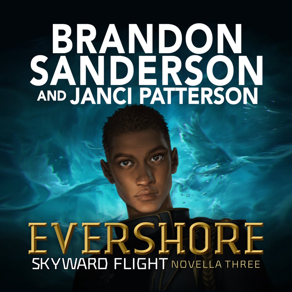 Audiobook cover for Skyward Flight