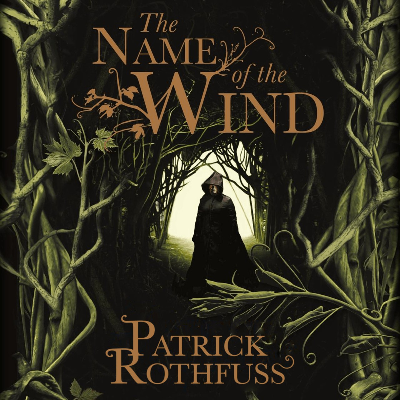 Audiobook cover for The Name of the Wind