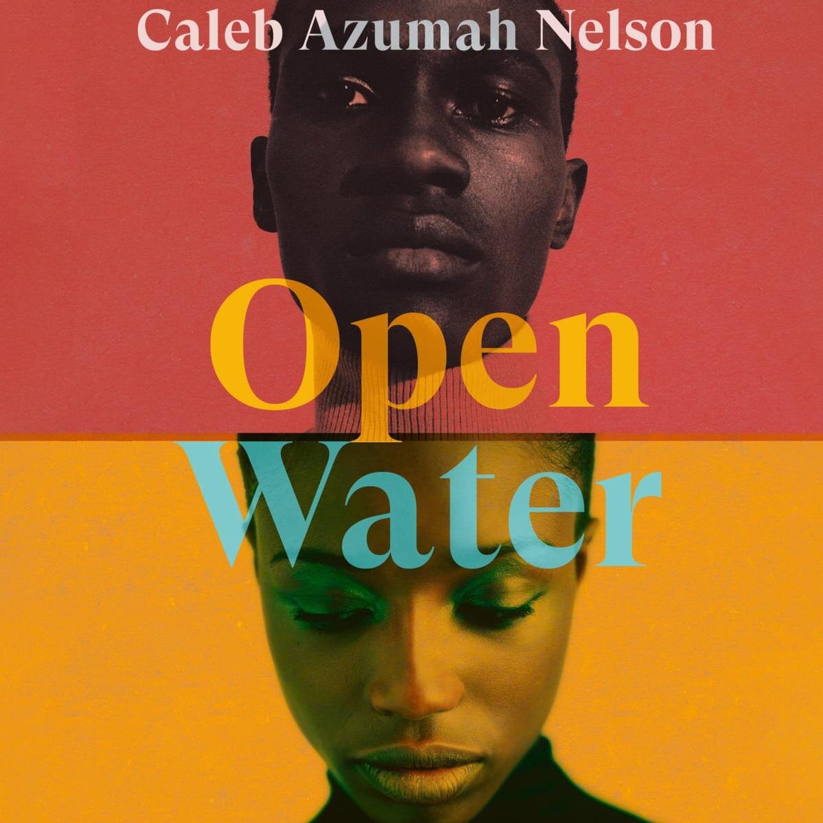 Audiobook cover for Open Water