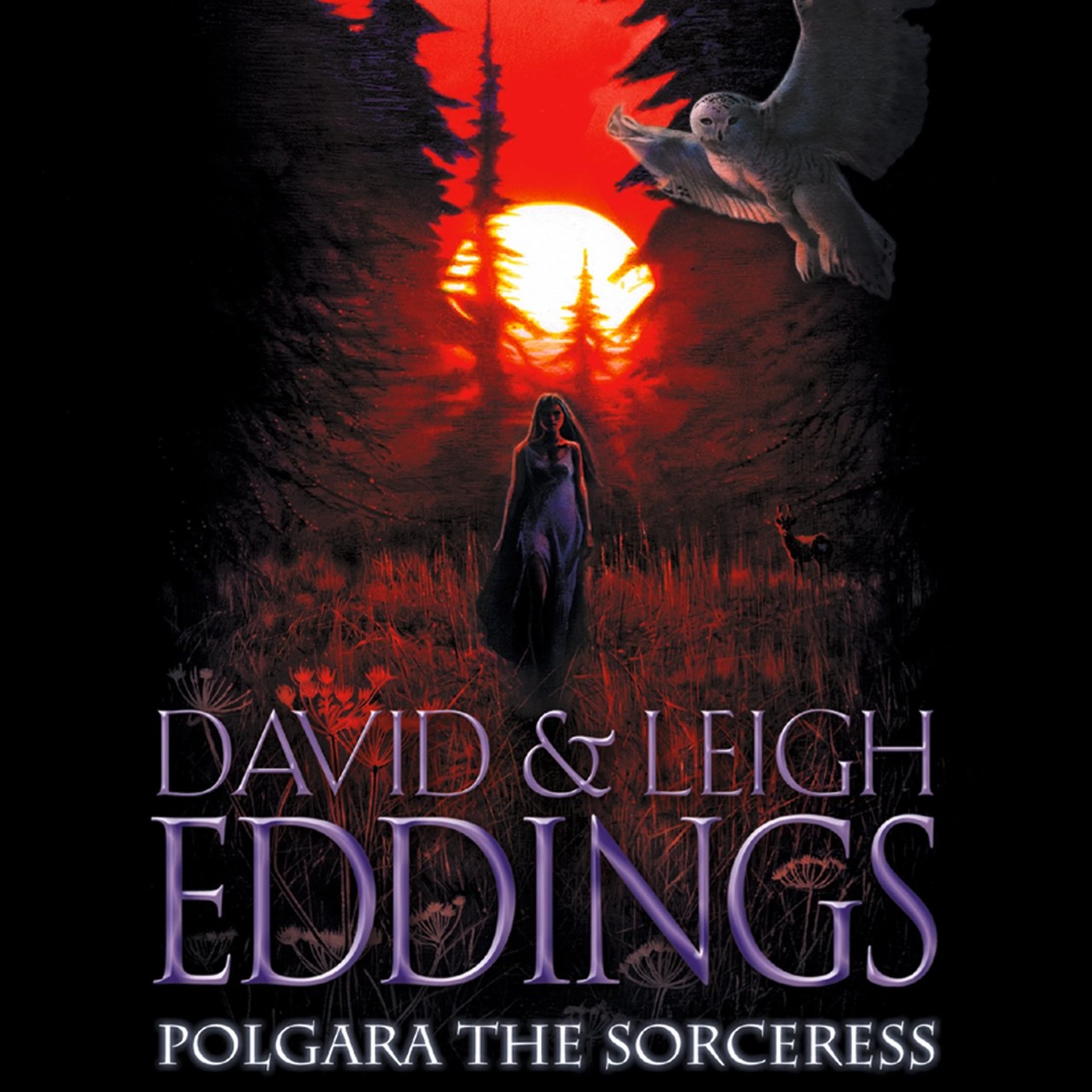 Audiobook cover for Polgara The Sorceress