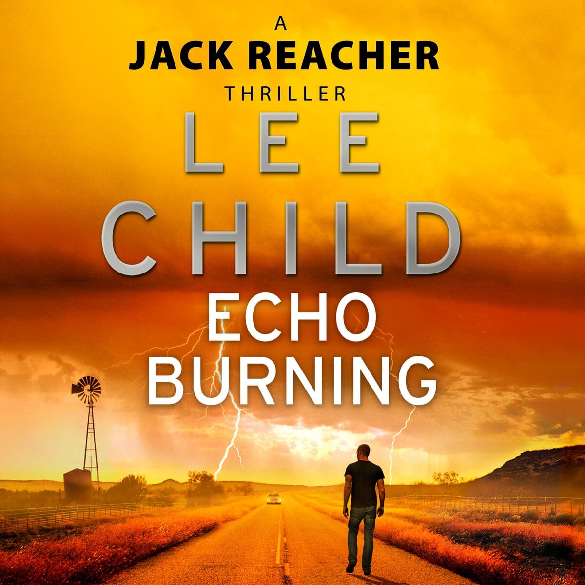 Audiobook cover for Echo Burning
