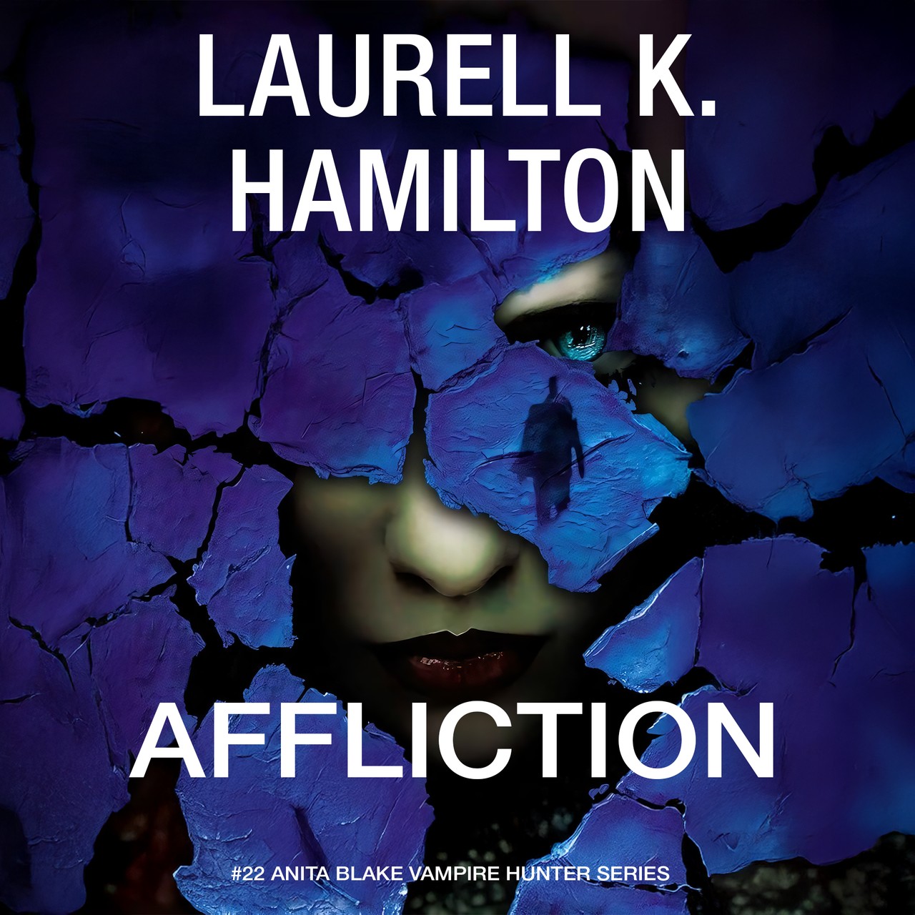 Audiobook cover for Affliction