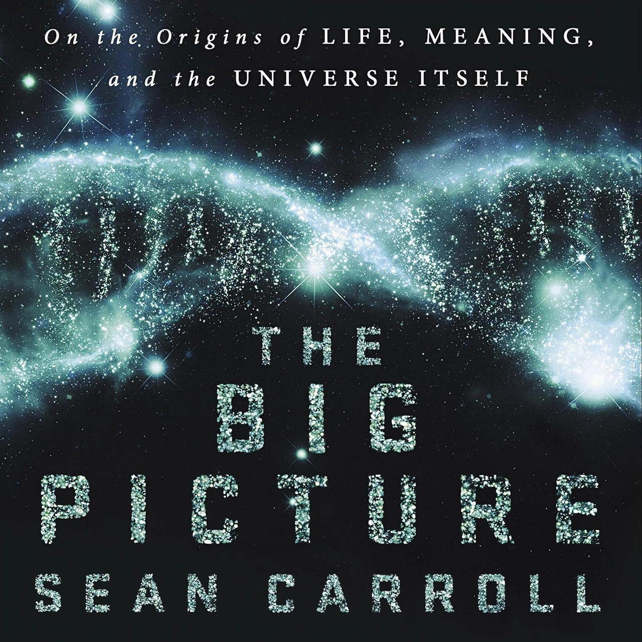 Audiobook cover for The Big Picture