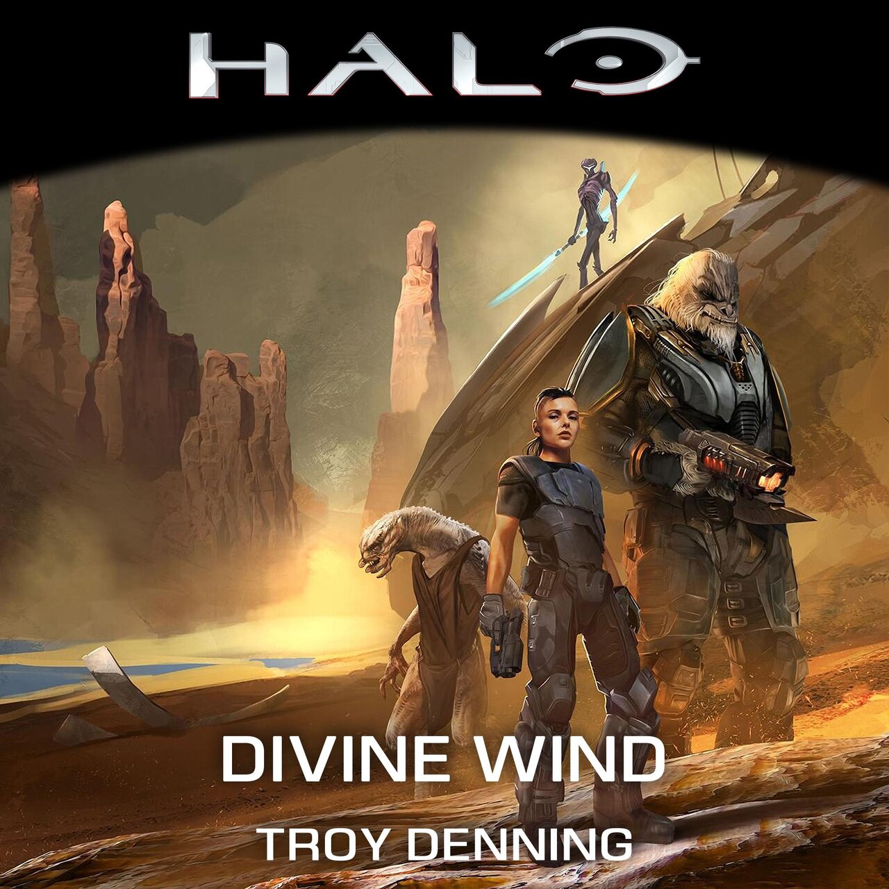 Audiobook cover for Divine Wind