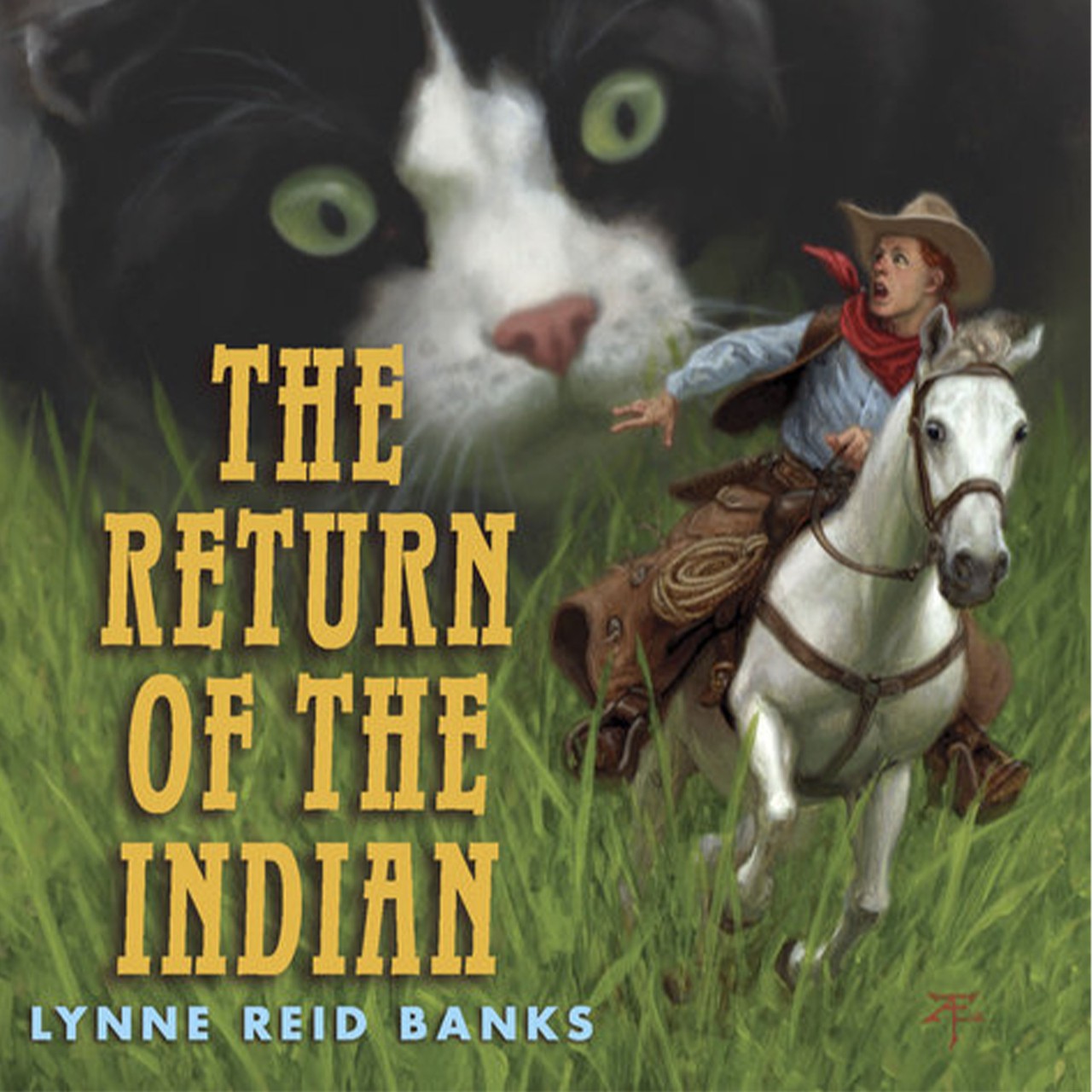 Audiobook cover for Return of the Indian