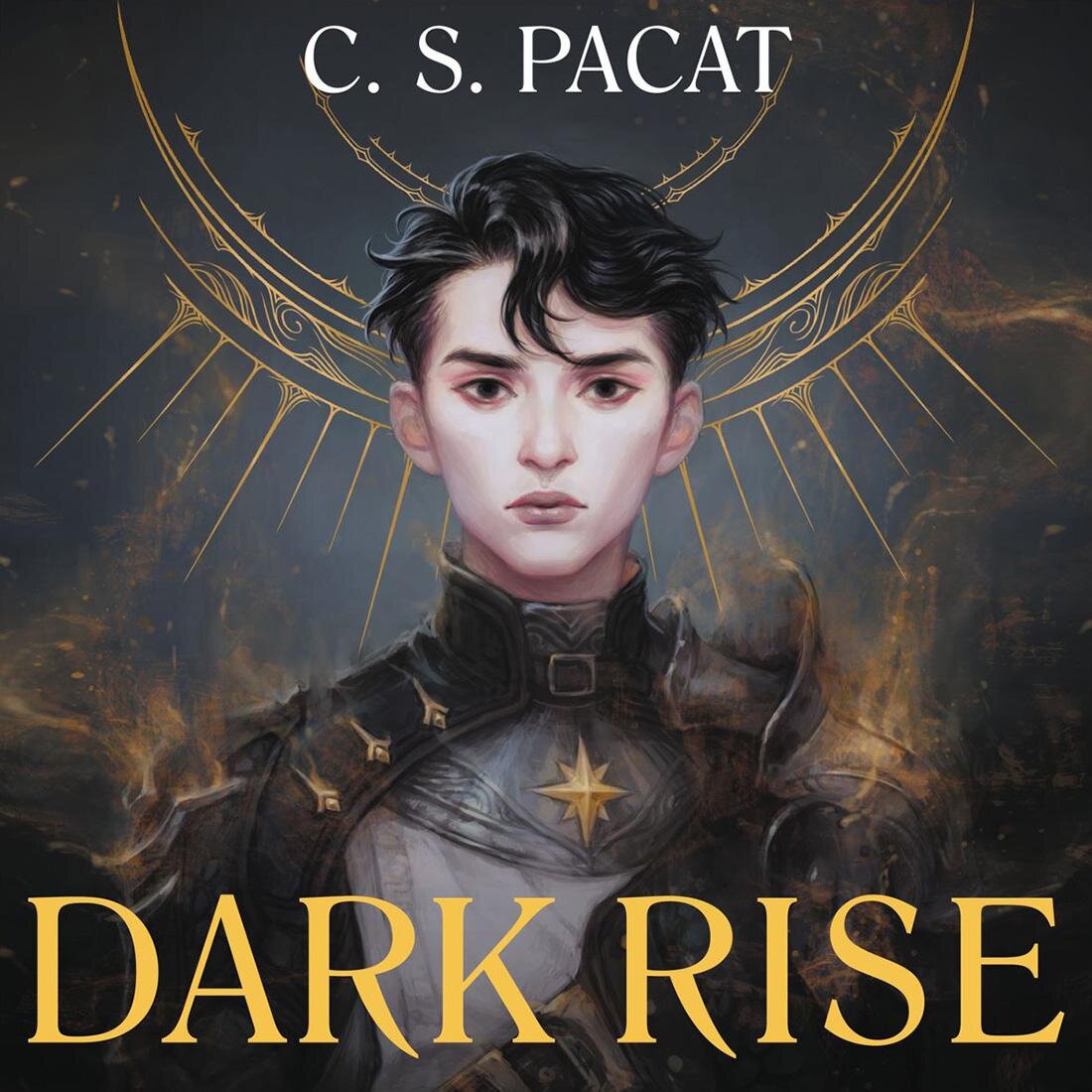 Audiobook cover for Dark Rise