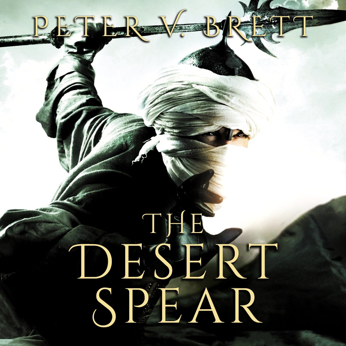 Audiobook cover for The desert spear