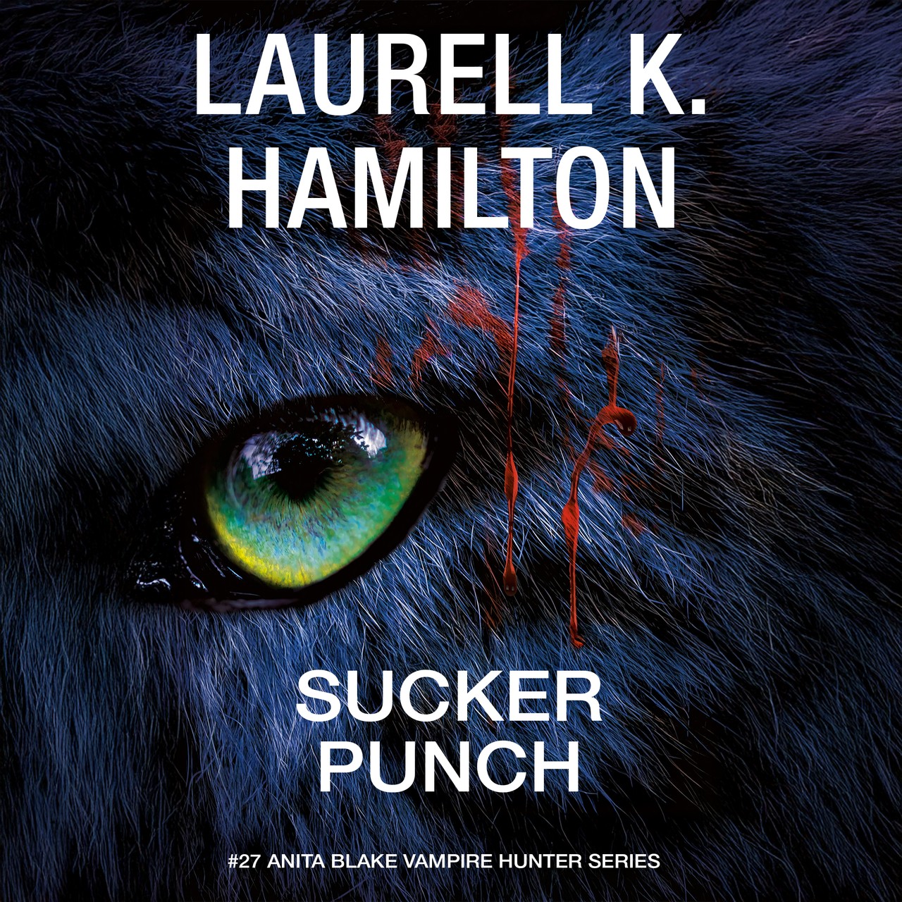 Audiobook cover for Sucker Punch