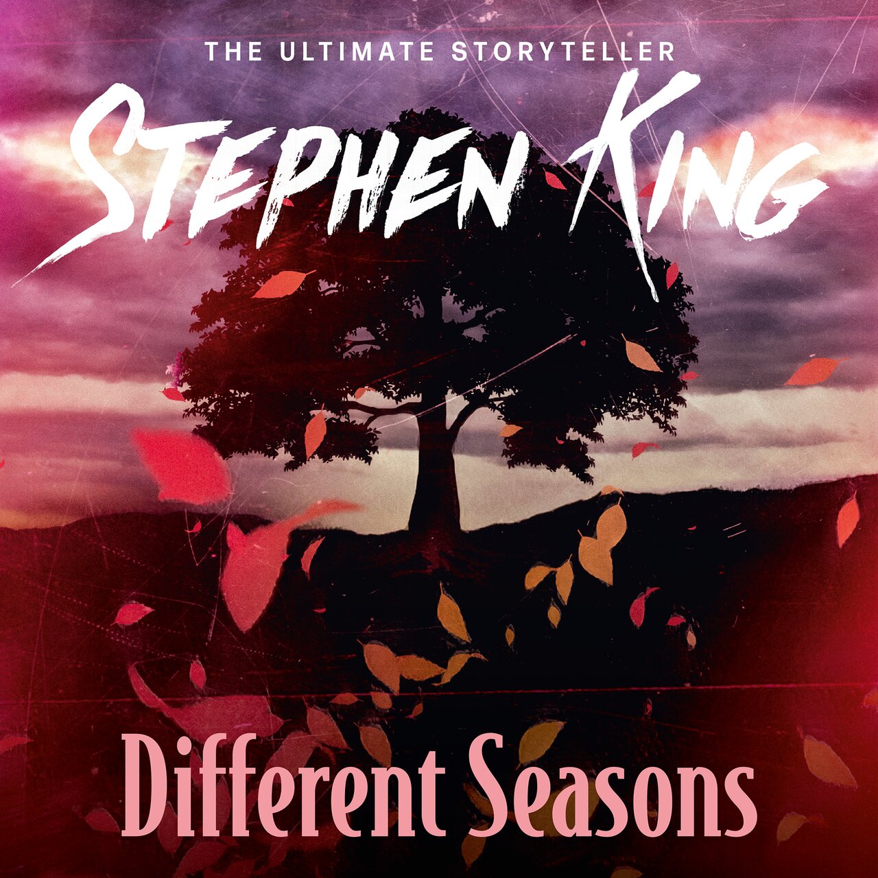 Audiobook cover for Different Seasons