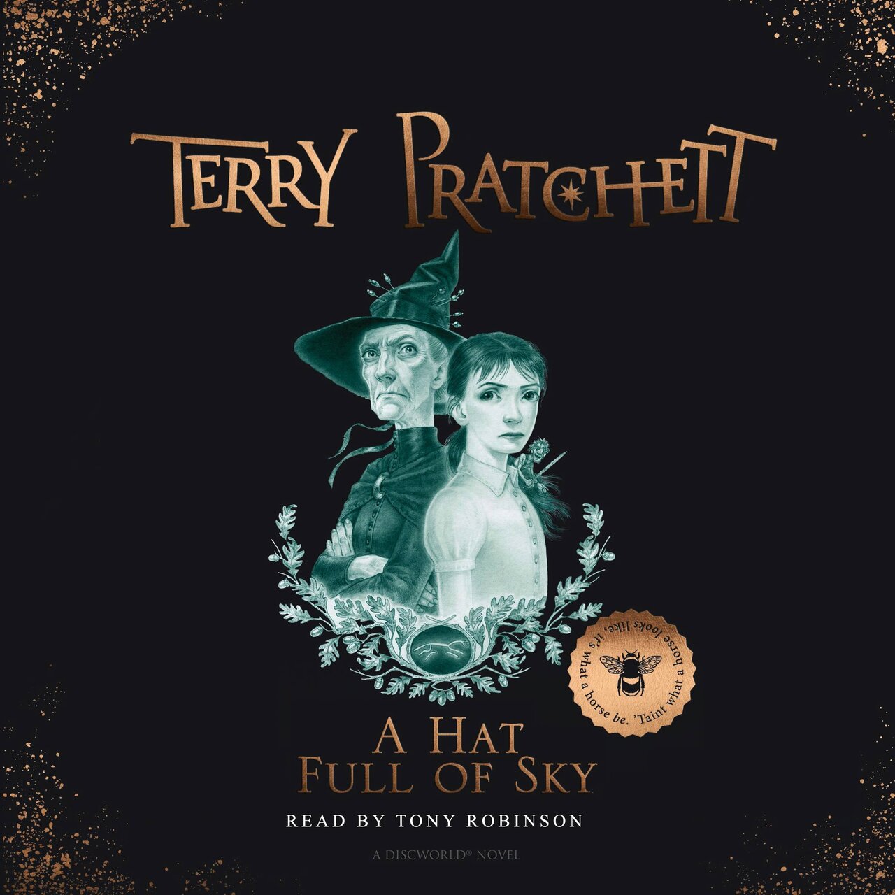 Audiobook cover for A Hat Full of Sky