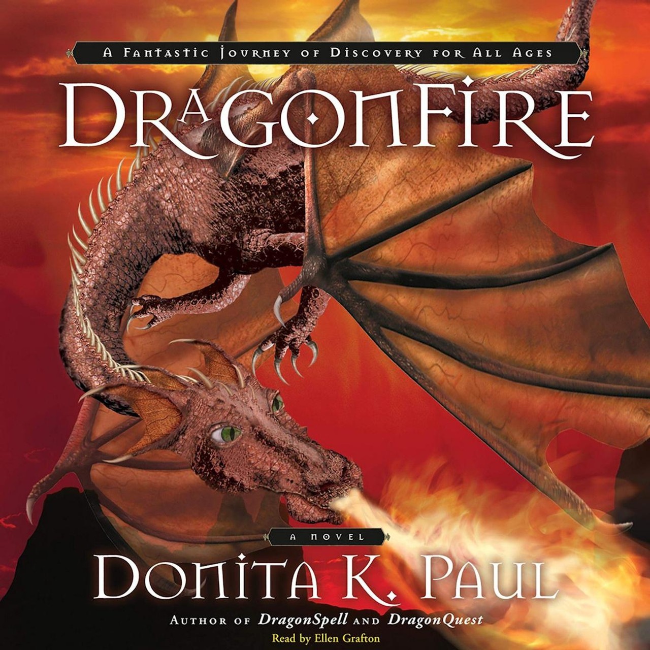 Audiobook cover for DragonFire
