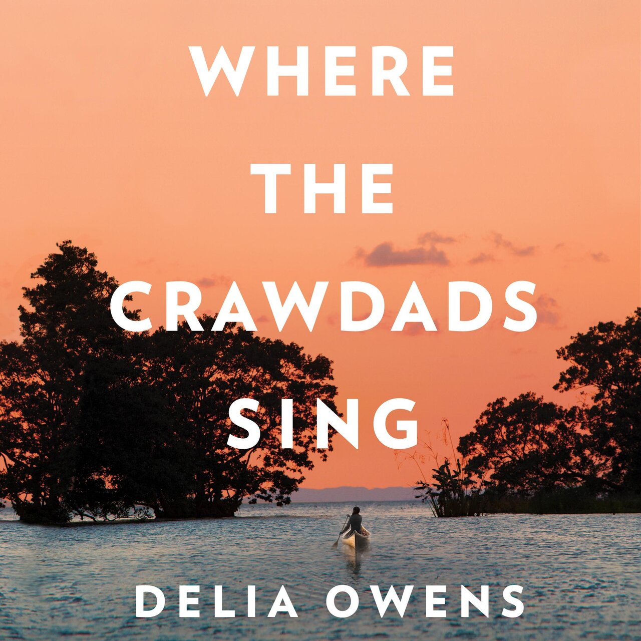 Audiobook cover for Where the Crawdads Sing