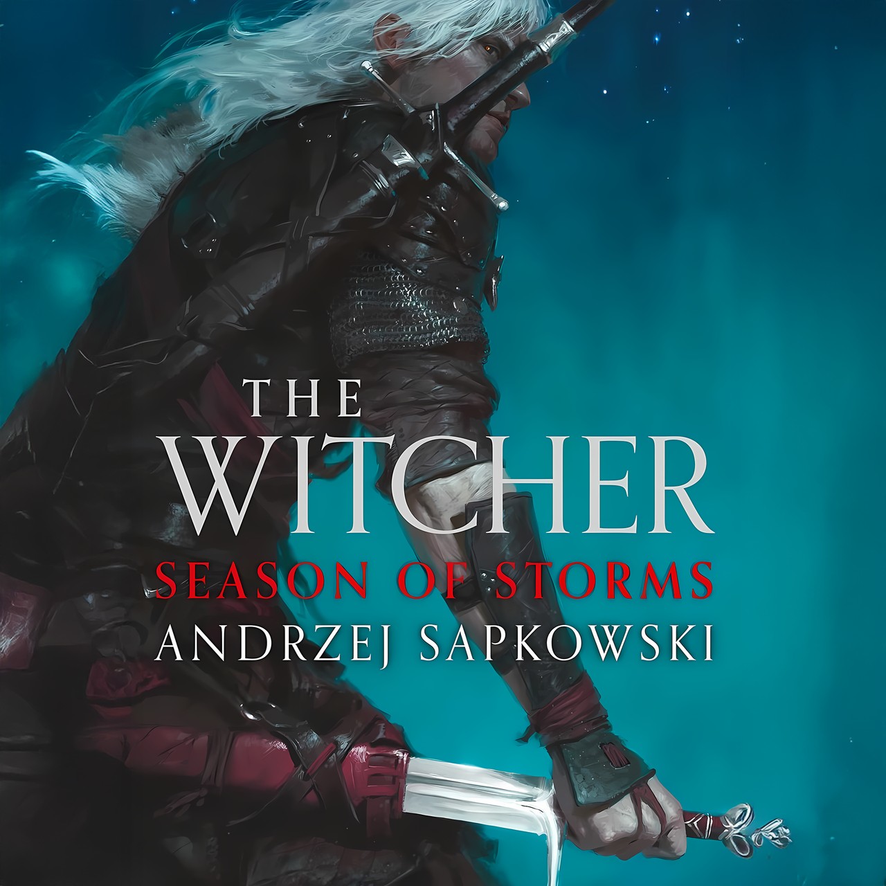 Audiobook cover for Witcher Saga,8 Books Collection Set,the Last Wish